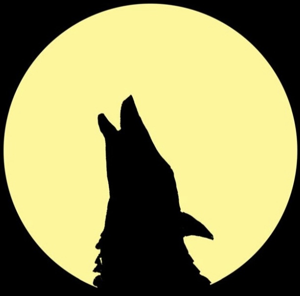 Luna del Lobo LLC Logo